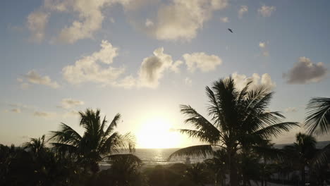 Sonnenaufgang-über-Dem-Meer-Mit-Palmen,-Die-Die-Glitzernde-Sonne-Enthüllen