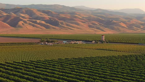 Apple-orchards-and-agriculture-fields-in-California,-USA