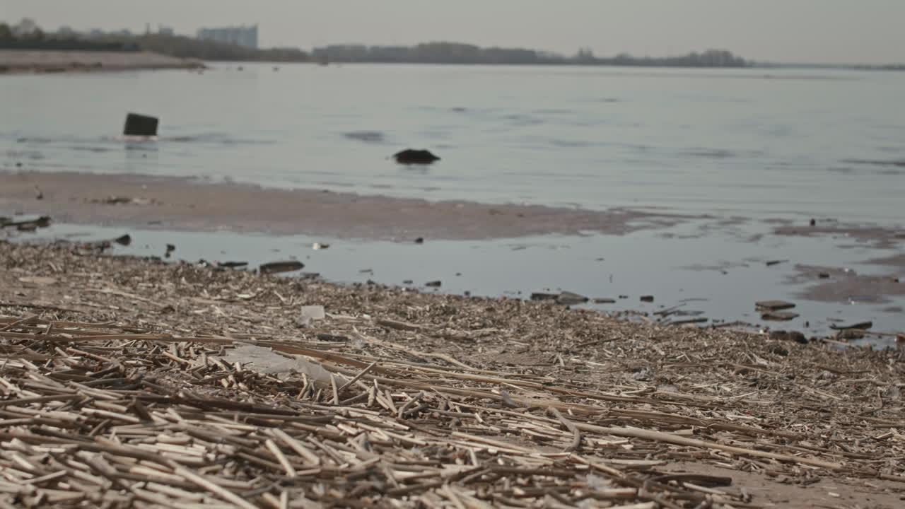 Coast Covered with Twigs and Waste