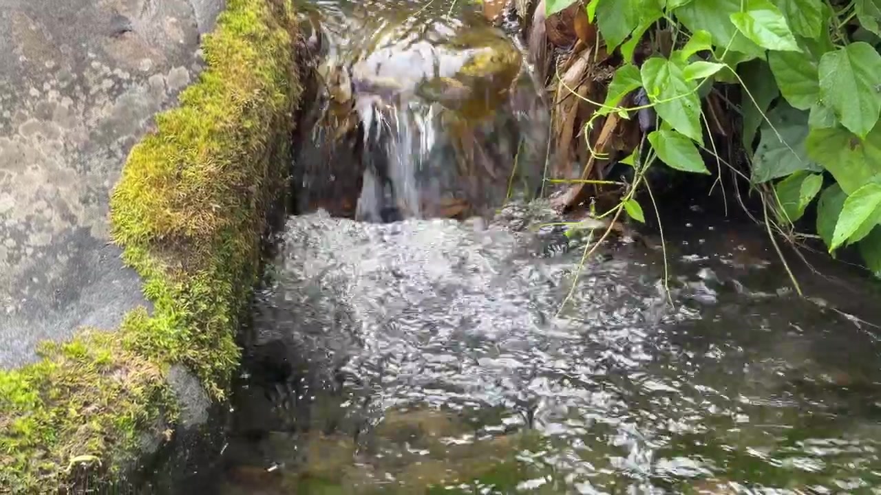 Small Waterfall Flowing Over Mossy Rocks in Nature