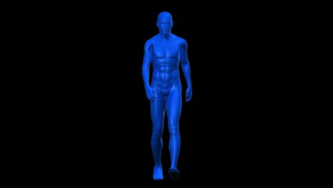 blue colored human body walking