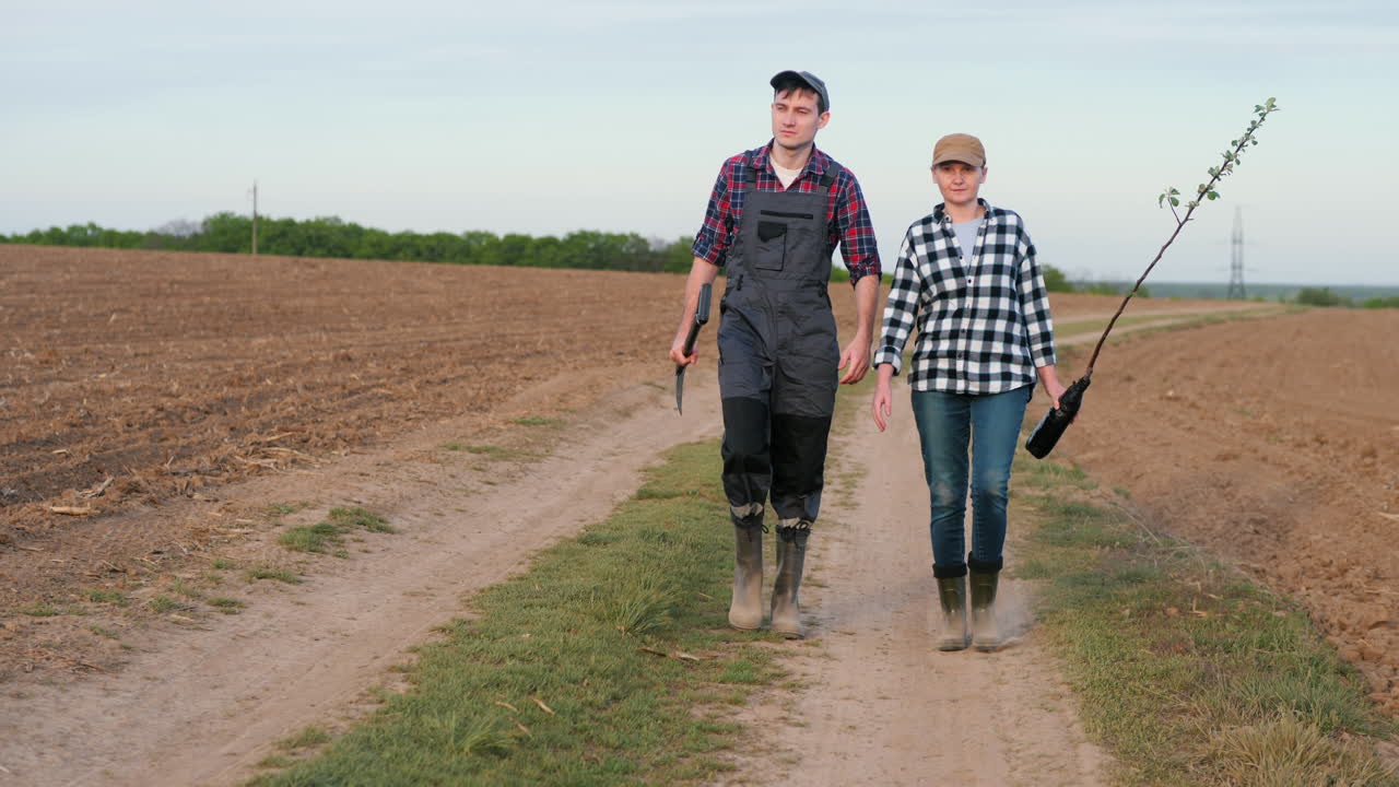 농부 들 이  에 나무 를 심고 있다