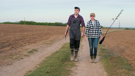 farmers planting trees in a field