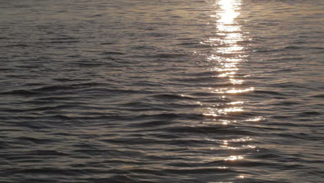 water with sun reflection