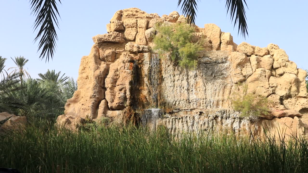 Tranquil oasis in Sbeitla, Tunis with palm trees and ruins under a clear sky, wide shot
