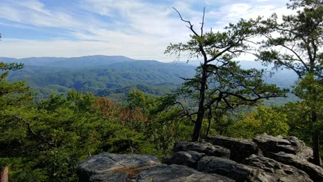 a view from the foothills parkway in the great smoky mountains national park with a bird flying in the background