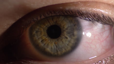 primer plano del globo ocular humano, ojo detallado con pupila e iris, caucásico