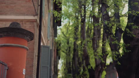 italian street with shutters and trees