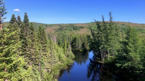 Reflective-green-tree-lined-riverbank-on-a-beautiful-clear-blue-day