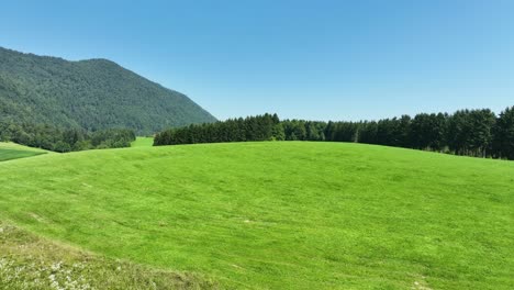 slow motion aerial shot revealing a vibrant green meadow surrounded by forests and hills