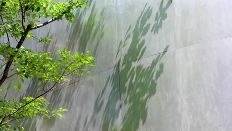 la mejor vista en tokio