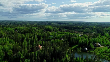 backwards-drone-dolley-shot-of-green-pine-trees-forest-on-a-partly-cloudy-day