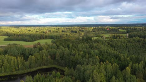 green forest in latvian landscape, aerial pedestal up during golden hour