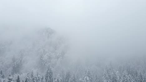 Bosque-Desde-Arriba-Después-De-Una-Tormenta-De-Nieve-Con-Nubes-Bajas-Y-Naturaleza-Cubierta-De-Nieve-En-Invierno