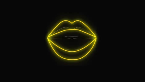 el contorno brillante de los labios