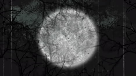 animation of halloween spooky interference over moon and tree branches on black background