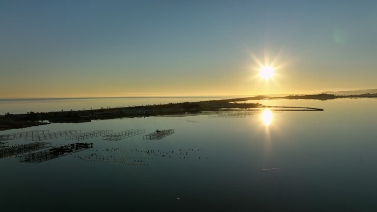 la belleza tranquila de etang de vic.