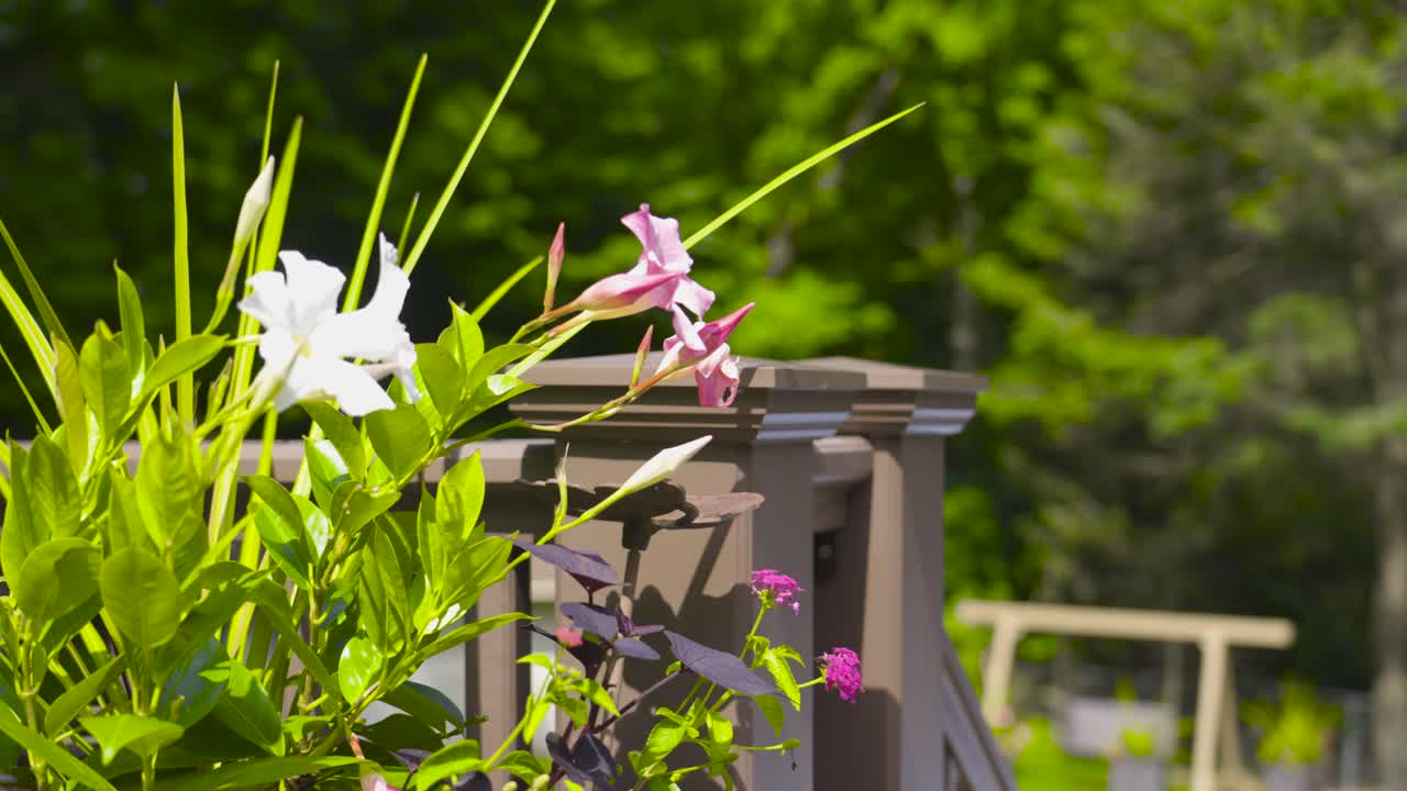 회전하고 플랜터로 밀어 넣습니다.