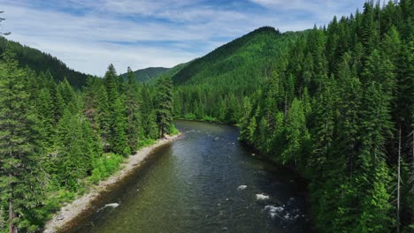 evergreen foliage and calm river in lolo national