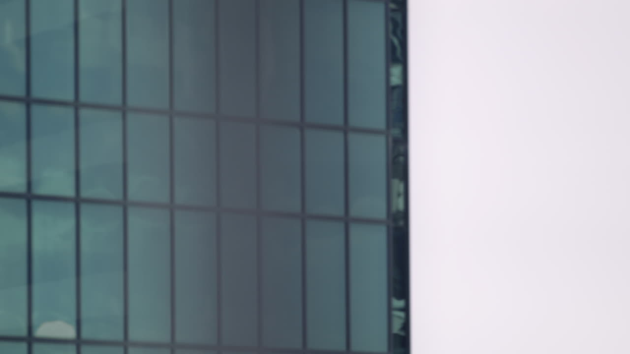 Bat Flying High At The Back Of The Building. wide shot