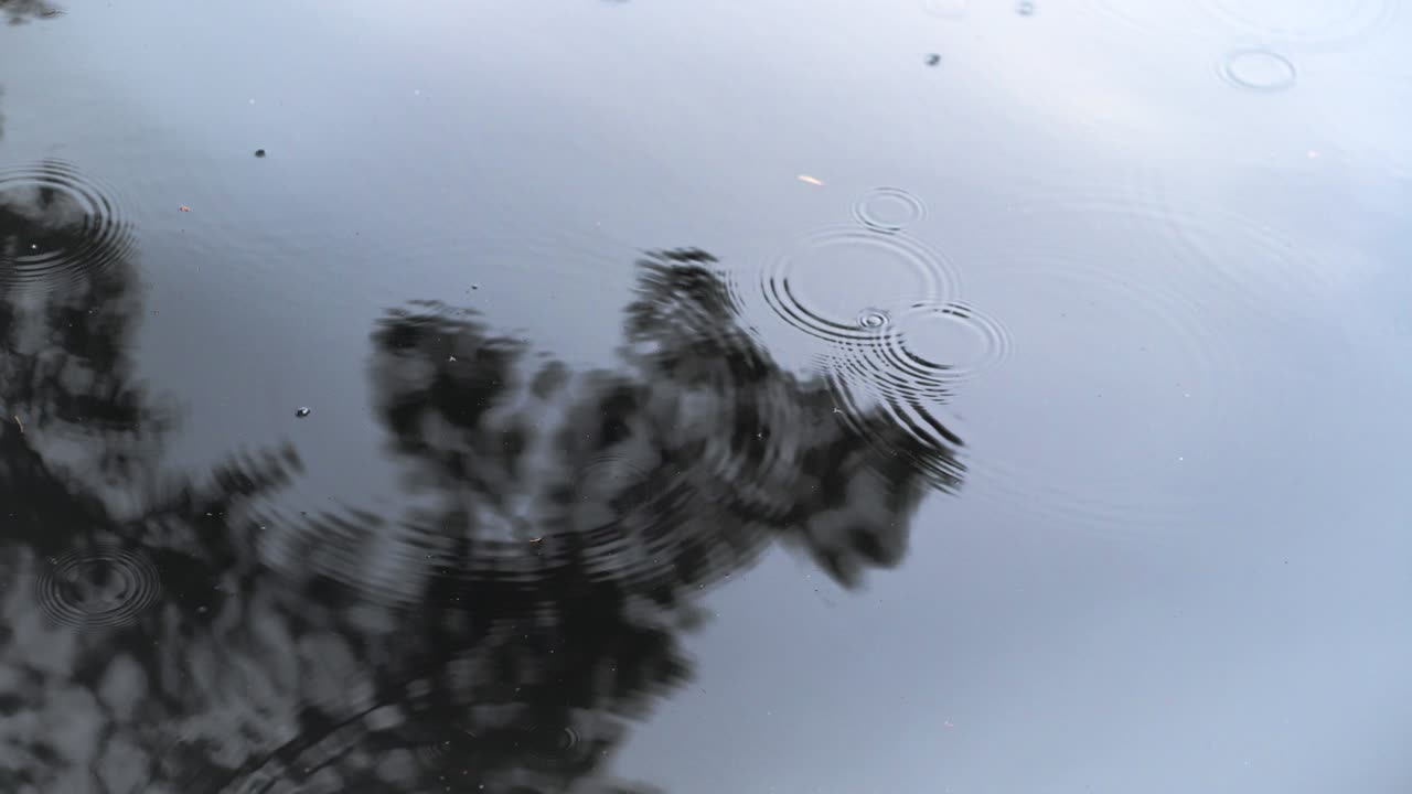 방울에서 물 위의 원