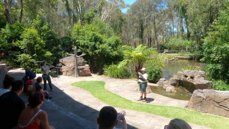 instructor performing martial arts in a garden setting