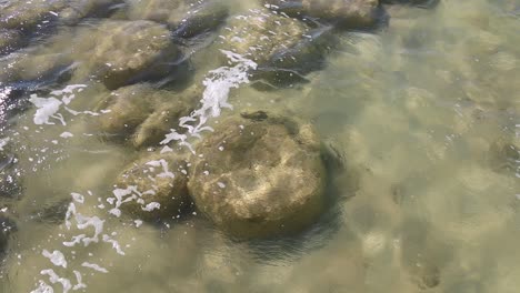 Trombolitos-En-El-Lago-Clifton,-Formas-De-Vida-Prehistóricas-En-Aguas-Poco-Profundas