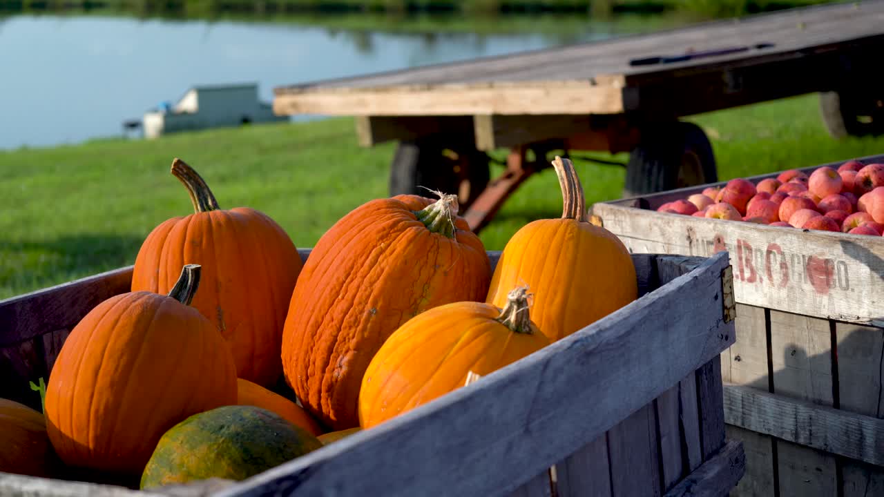 Pumpkins in a Wooden Crate by a Pond
