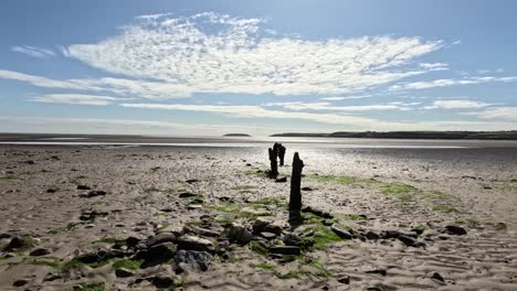 Wooden-Groynes-On-The-Beach-Of-Pilmore-Strand-In-County-Cork,-Ireland