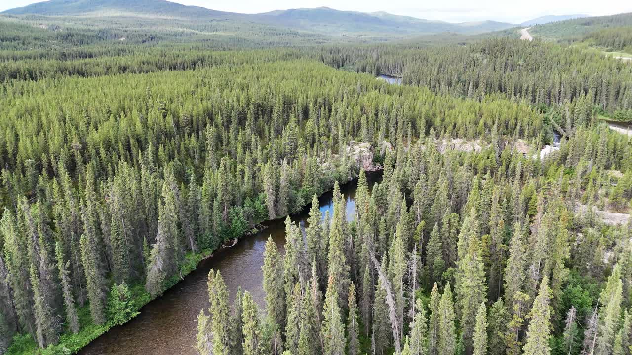 An expansive aerial perspective captures a serene river meandering through an endless expanse of lush green coniferous trees, showcasing the raw beauty of untouched wilderness in Canada