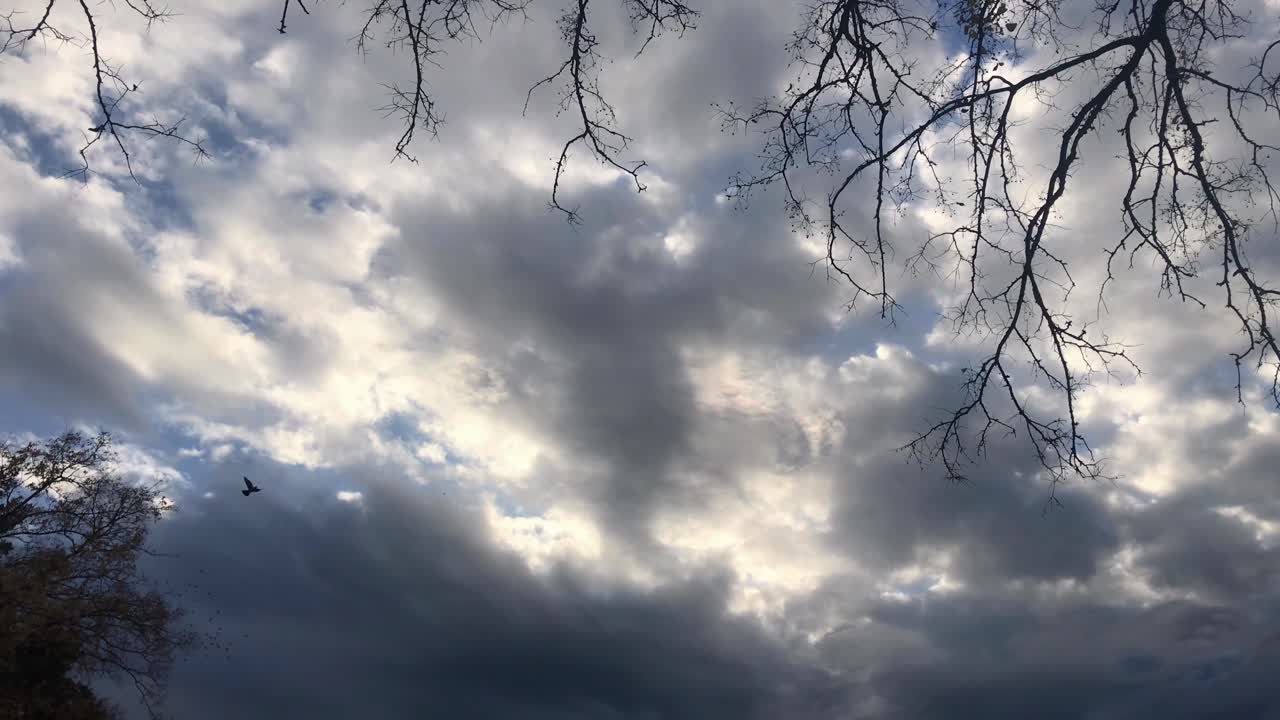 Migratory Black Birds Murmuration Against Dramatic Cloudscape
