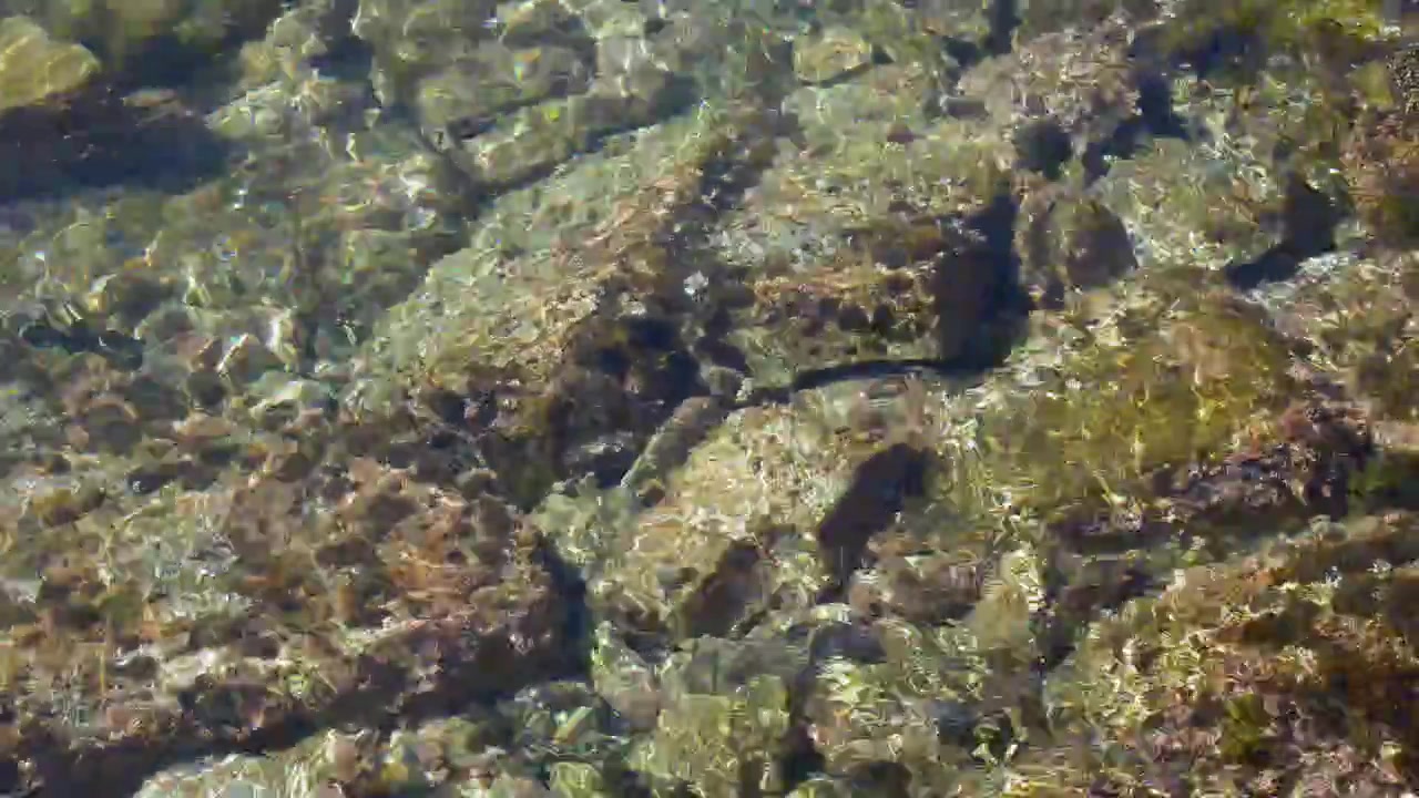 Sunlight reflects on shallow, transparent Mediterranean water flowing over mossy rocks in a static shot.