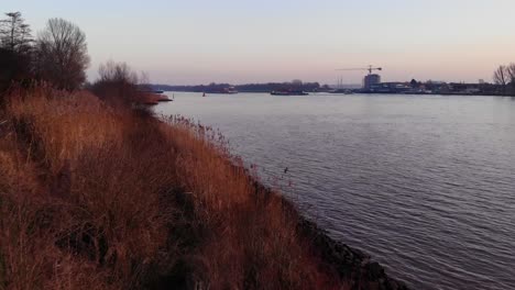 Low-Flying-Over-Grass-Verge-Beside-Oude-Maas