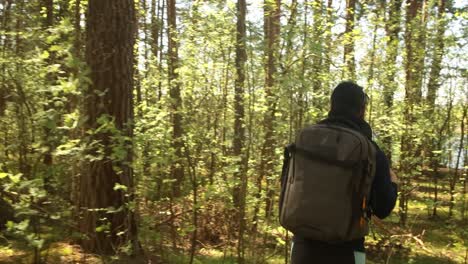 Hiking-woman-walk-with-a-hiking-backpack-in-spring-green-forest