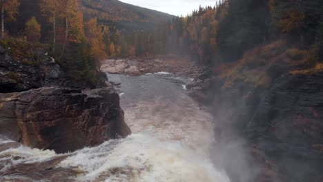 Drohnenaufnahme-Eines-Stimmungsvollen-Herbstwaldes-In-Schweden