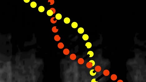 animación de una cadena de adn de modelo 3d giratorio, sobre un fondo negro