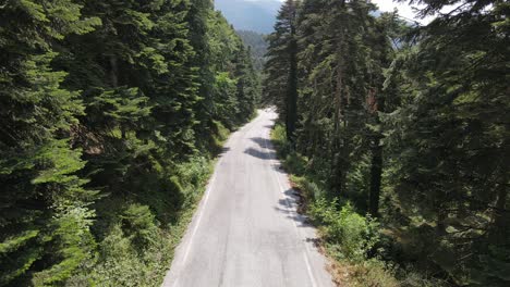 drone shot driving car