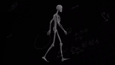 animação de equações matemáticas sobre o esqueleto