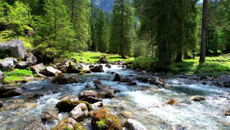 a tranquil forest stream flowing over rocks surrounded by lush greenery. silent 4k footage capturing the serene beauty of nature, ideal for scenic and calm visual projects.