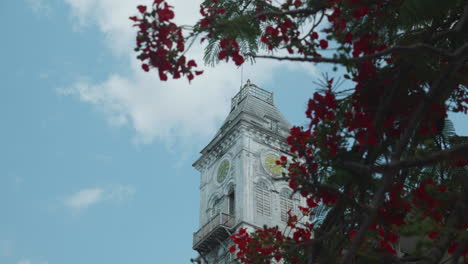 Vista-De-La-Torre-Del-Reloj-De-La-Casa-De-Las-Maravillas-Desde-Debajo-De-Un-árbol-Floreciente-En-La-Ciudad-De-Piedra-De-Zanzíbar