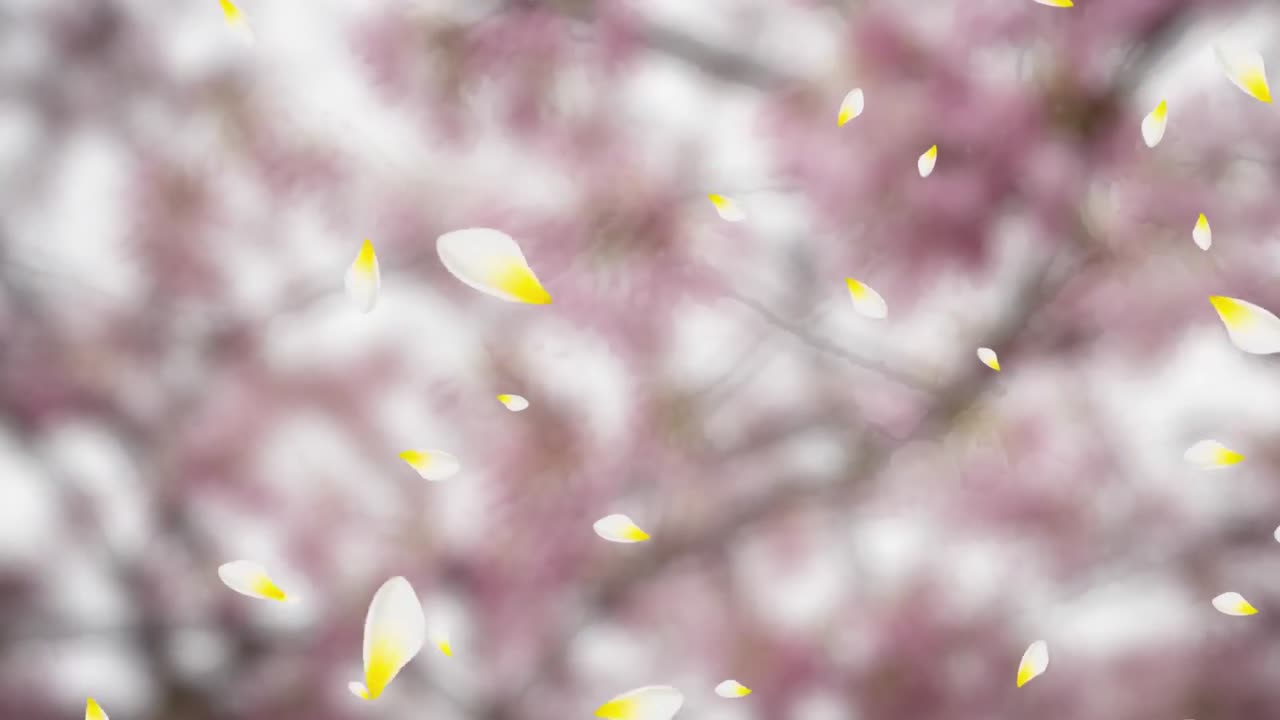 발렌타인 데이 축제