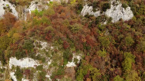 Paisaje-Montañoso-En-Otoño-Con-árboles-Coloridos-Y-Grandes-Rocas,-Hermoso-Paisaje-Aéreo