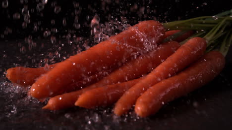 water raining on carrots