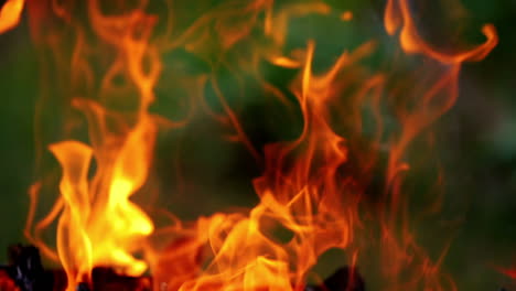 bright fire and flames burn in hot fireplace. beautiful orange tongues of flame on wooden logs for barbecue. close-up.