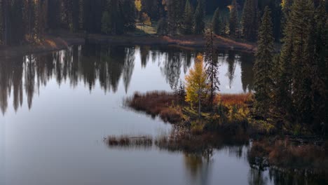 Un-Lienzo-Escénico:-Los-Vibrantes-álamos,-El-Bosque-De-Pinos-Y-Los-Reflejos-Del-Agua-Del-Lago-Isobell-En-Otoño