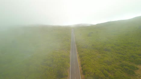 highway between lush green forest trees, misty landscape in madeira, portugal - aerial shot