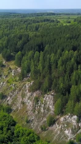 aerial view of a forest with cliffs