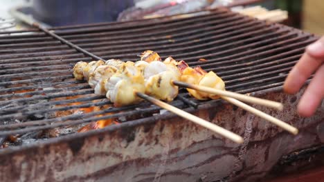 squid skewers barbecued over hot coals, close up