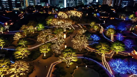 night illumination of a japanese garden