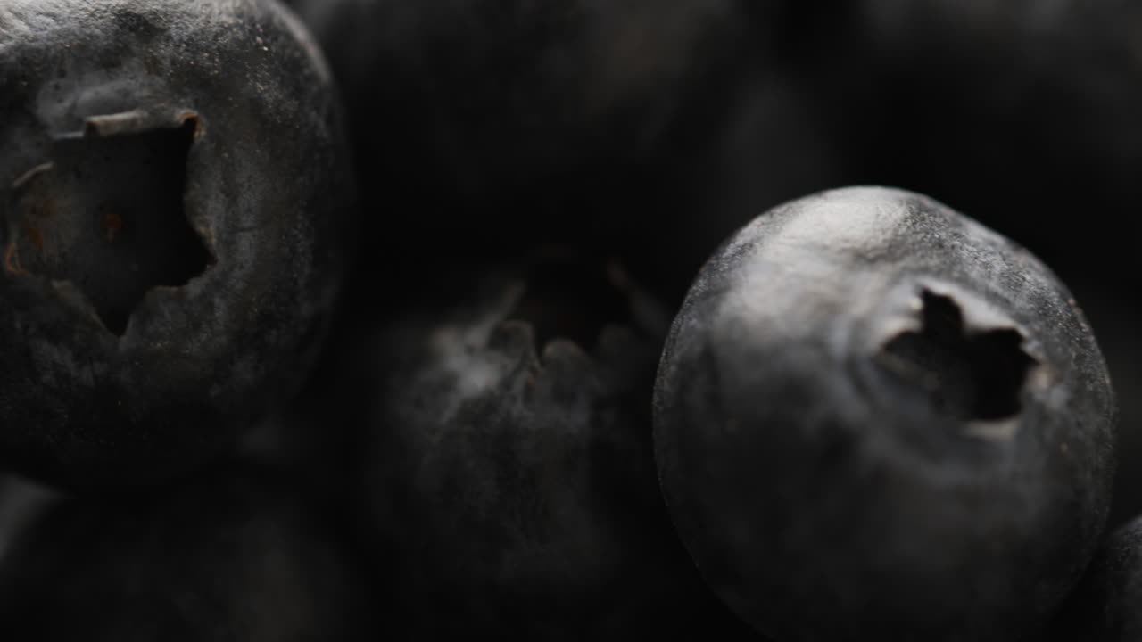 복사 공간과 함께 블루베리의 클로즈업의 마이크로 비디오